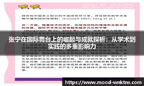 张宁在国际舞台上的崛起与成就探析：从学术到实践的多重影响力